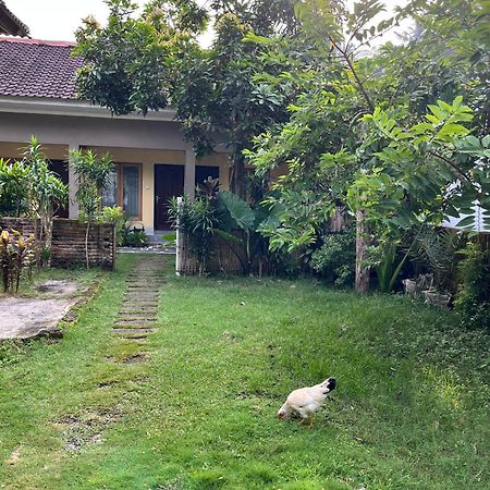 Honey Home Kuta (Lombok) Exterior foto