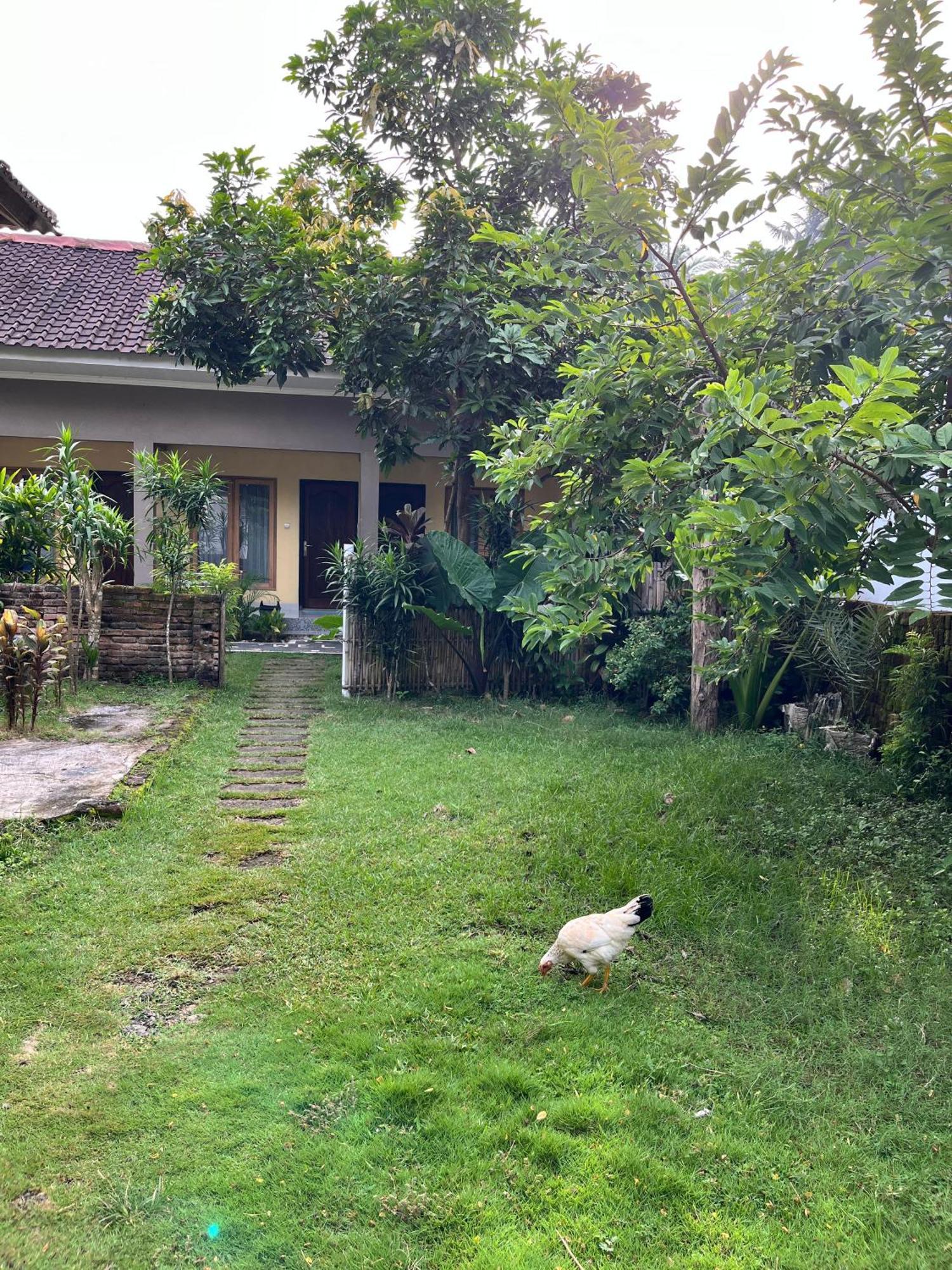 Honey Home Kuta (Lombok) Exterior foto