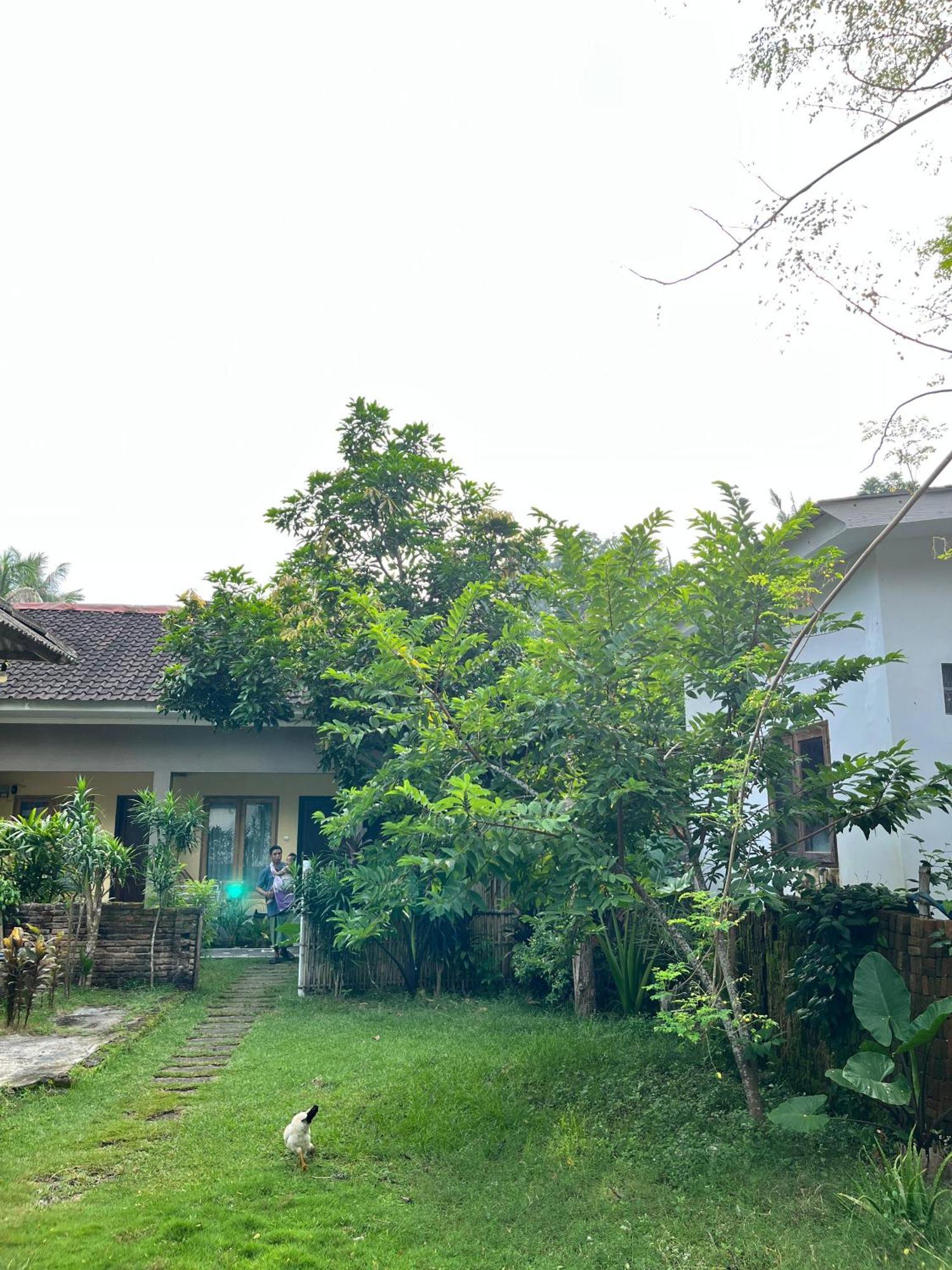 Honey Home Kuta (Lombok) Exterior foto